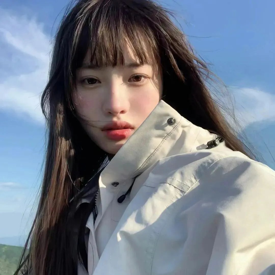 文豪野犬第一季